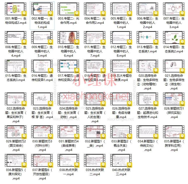 大脑空间生物提分王【专题冲刺】，【初中生物系统课】30+课时带你吃透中考核心考点