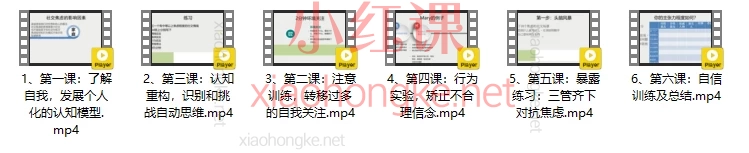 酷炫脑/唐信峰:克服社交焦虑，CBT疗法训练营