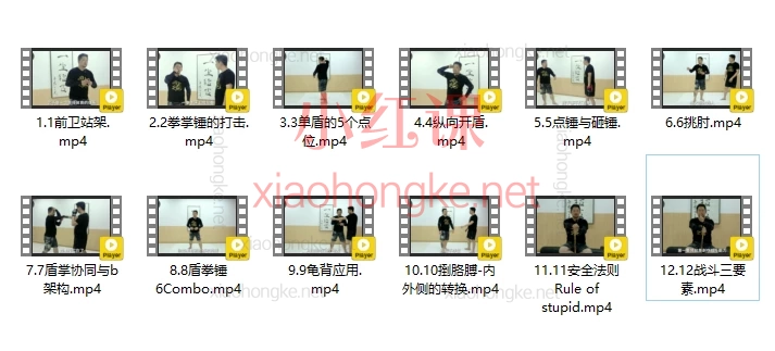 盾卫术专业入门线上课-大K老师亲授