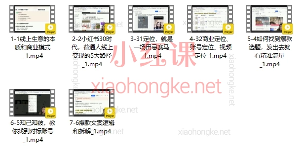 红商菲菲1%进化者，小红书普通人线上变现实战课
