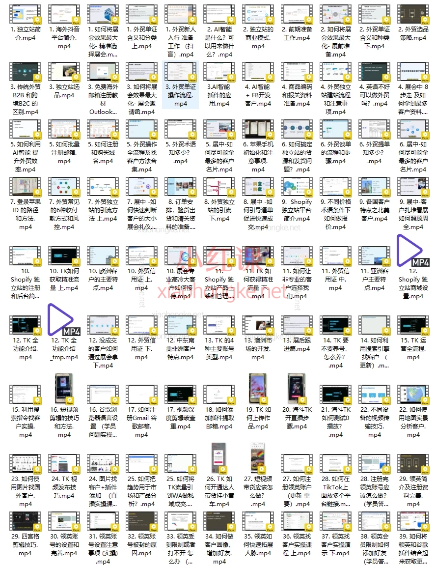 外贸大表姐：外贸团队必修课(拓客+谈判+展会+TK+智能一站式外贸加油）