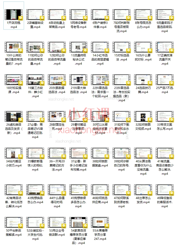 红商菲菲小红书电商陪跑正价课,从0到1起店全攻略