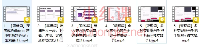 华友会tiktok实战变现训练营，TikTok变现训练营｜新手逆袭指南