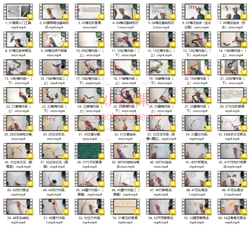 悠然国画零基础国画花鸟课程