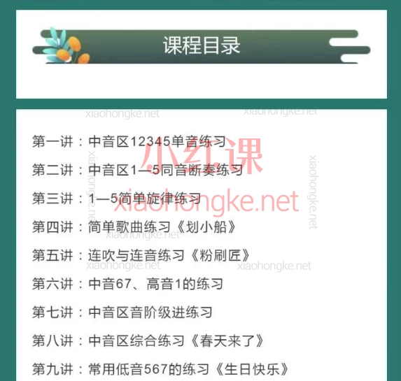 高老师24孔复音口琴入门二十讲,高老师24孔复音口琴入门二十讲