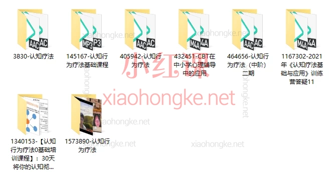 认知行为疗法（CBT）系统培训，八合一合集