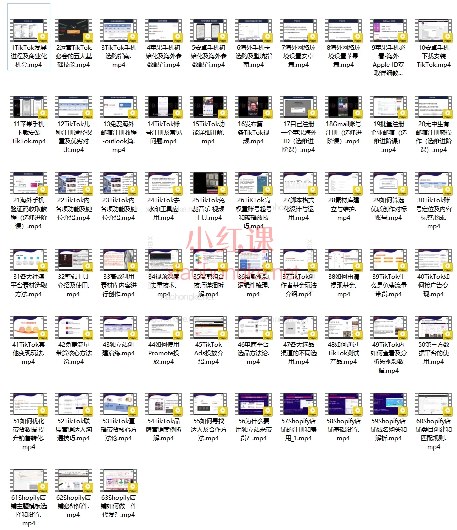 李社长【火爆】TikTok全阶运营体系课，手把手带你掘金海外市场！