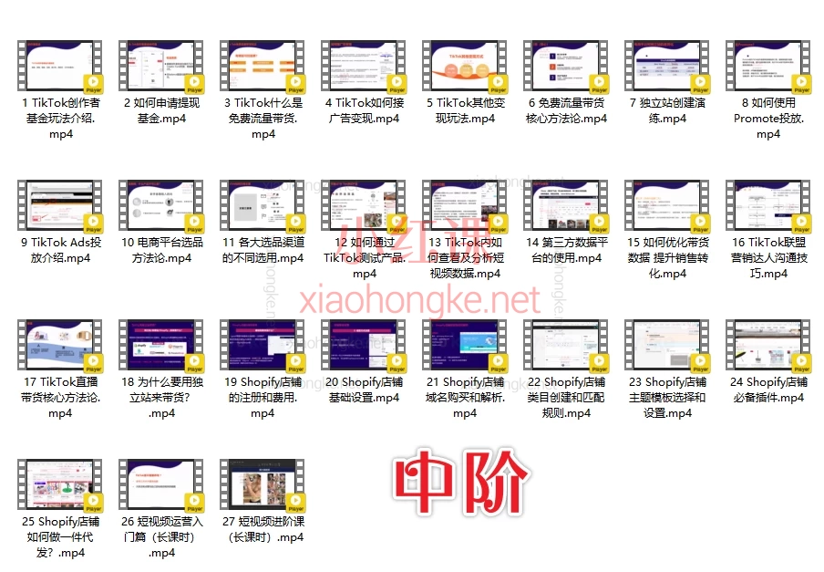 李社长TikTok全阶运营体系课【初阶】+【中阶】+【高阶】，从注册到变现的保姆级指南