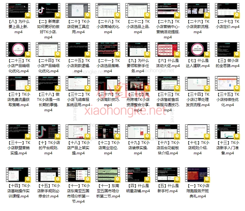 商舟跨境-东南亚TikTok Shop3.0课程