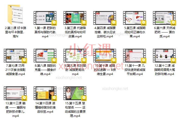 清风教瘦减脂指导带教营,15节干货视频拆解肥胖真相