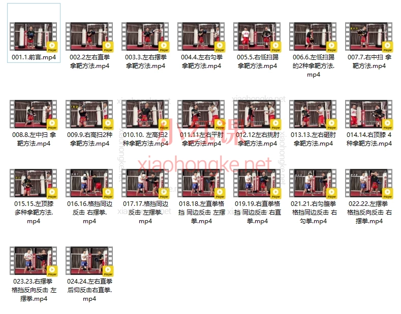 Jei泰拳导师专业拿靶课程，零基础必看！实战派防身拿靶课