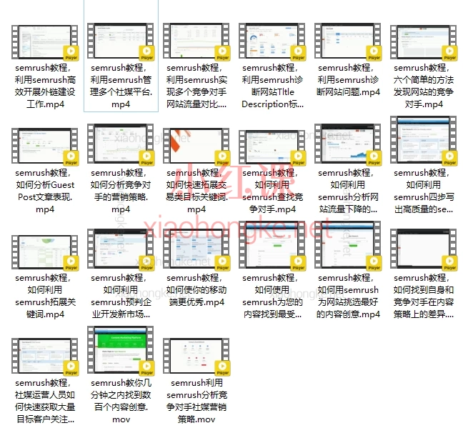 CBD跨境营销seo关键词semrush流量分析工具教程