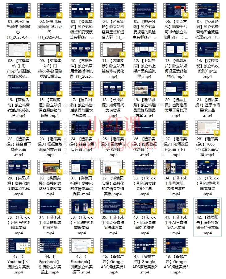 2025交个朋友出海课：跨境创富集训实战营，从0到1手把手教你搭建独立站+TikTok引流+谷歌广告投放，拆解高转化店铺装修/选品/爆单玩法！