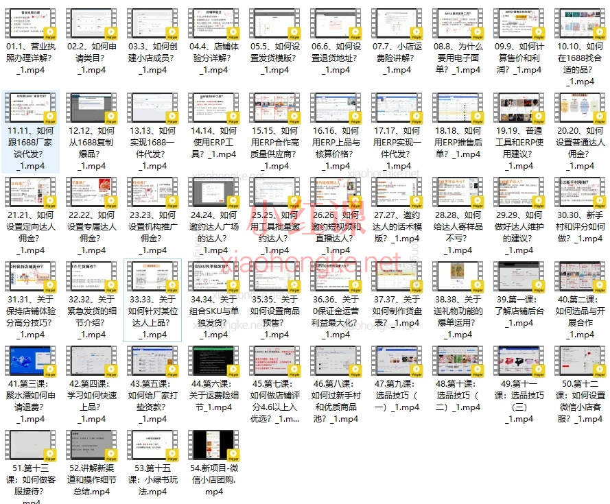 2025陈奶爸:微信小店-带货者实操课,微信小店带货全攻略|新手逆袭必看!