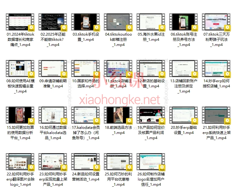 2025彩鲸俱乐部Tiktok跨境不迷茫训练营(更新版)