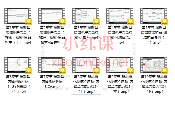 淘宝天下88学堂《2024年新品起爆》 ，从0到1吃透平台免费流量