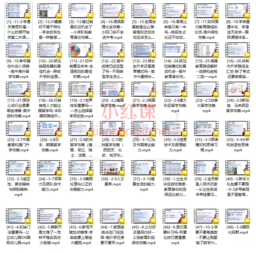 暴叔0-18岁家长教育升学全攻略线上视频课，0-18岁全阶段教育规划
