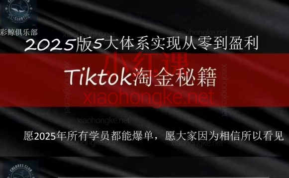 阿涛2025TikTok电商运营,普通人也能月入3w+的跨境蓝海秘籍!