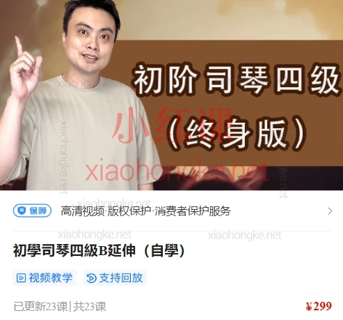 陈韦烨司琴自学课程全体系：从入门到精通（初阶B1-B延伸/中阶i1-i3）