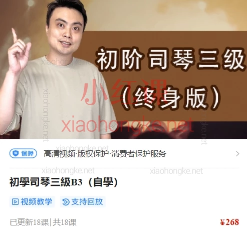 陈韦烨司琴自学课程全体系：从入门到精通（初阶B1-B延伸/中阶i1-i3）