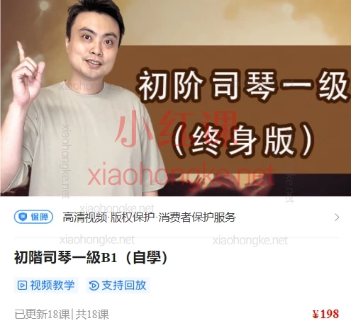 陈韦烨司琴自学课程全体系：从入门到精通（初阶B1-B延伸/中阶i1-i3）