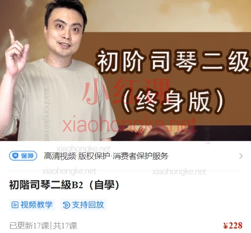 陈韦烨司琴自学课程全体系：从入门到精通（初阶B1-B延伸/中阶i1-i3）