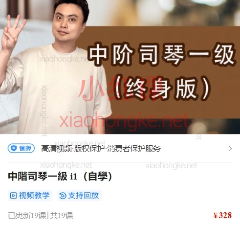 陈韦烨司琴自学课程全体系：从入门到精通（初阶B1-B延伸/中阶i1-i3）