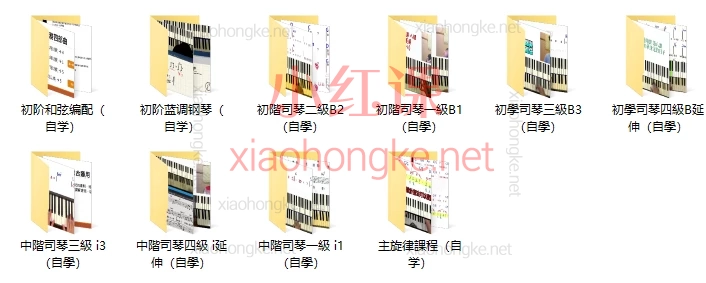 陈韦烨司琴自学课程全体系：从入门到精通（初阶B1-B延伸/中阶i1-i3）