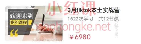 鲨鱼领航电商学院:tiktok本土实战营3-4月,从入门到高阶
