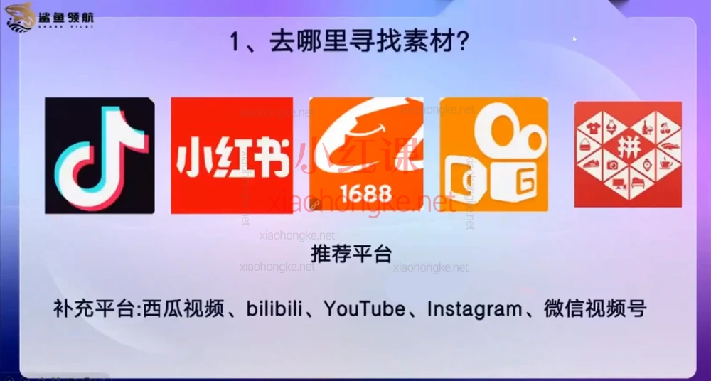 鲨鱼领航电商学院:tiktok本土实战营3-4月,从入门到高阶
