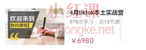鲨鱼领航电商学院:tiktok本土实战营3-4月,从入门到高阶