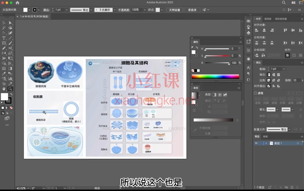 Bovsart科研绘图基础班第一期,零基础也能学会的科研绘图课!助力你的学术可视化表达