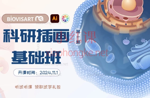 Bovsart科研绘图基础班第一期,零基础也能学会的科研绘图课!助力你的学术可视化表达