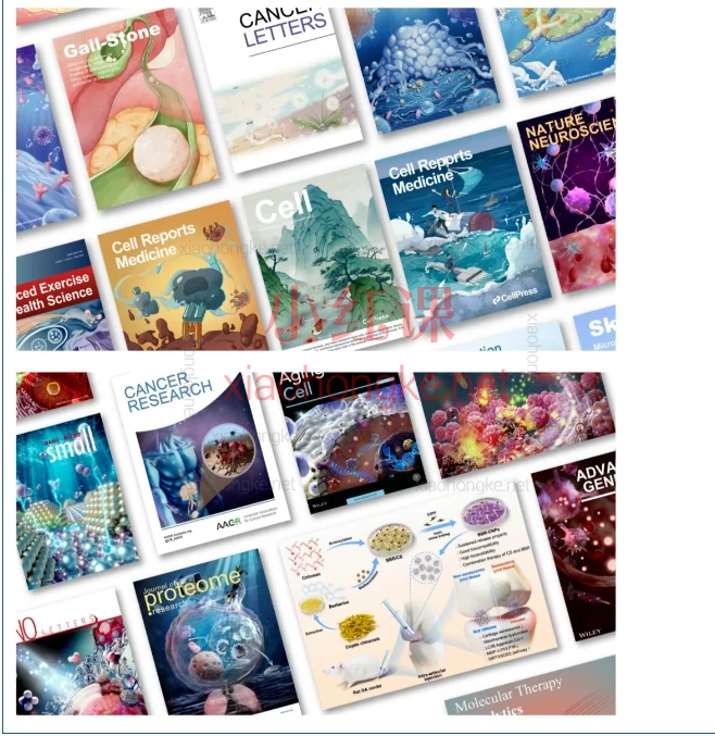 Bovsart科研绘图基础班第一期，零基础也能学会的科研绘图课！助力你的学术可视化表达