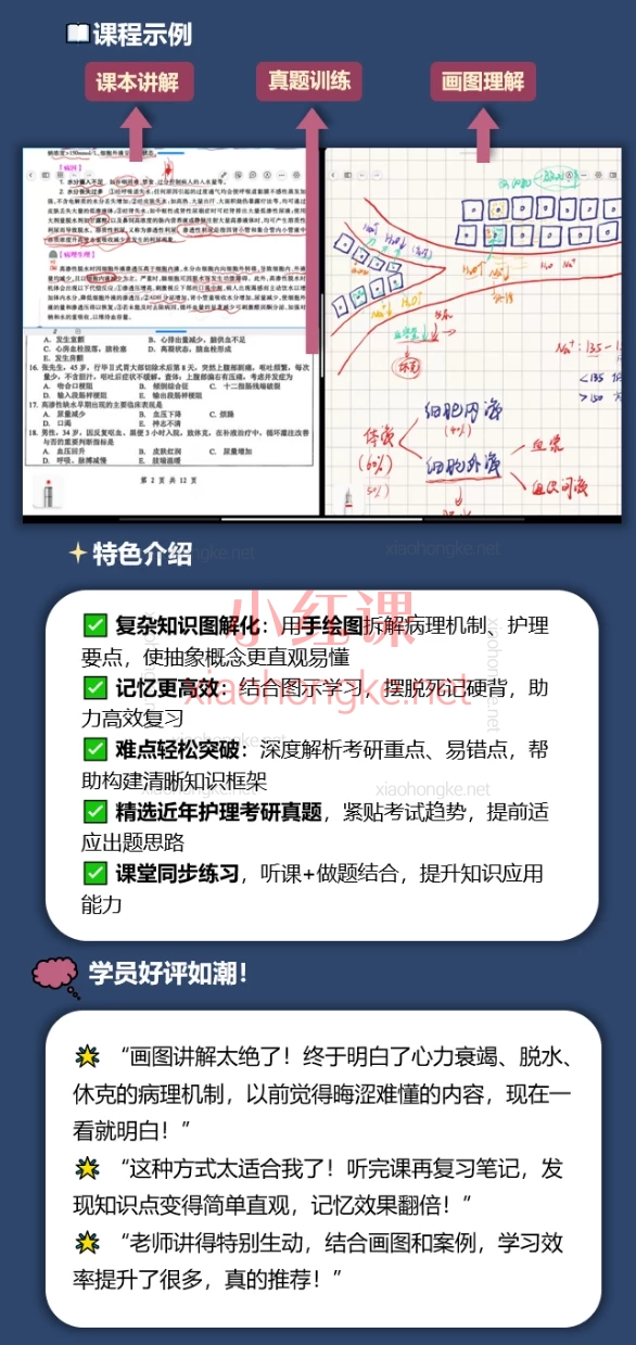 Bilibili-up主/小红书/De德：26版全套（内外基导），医学内外科护理全攻略