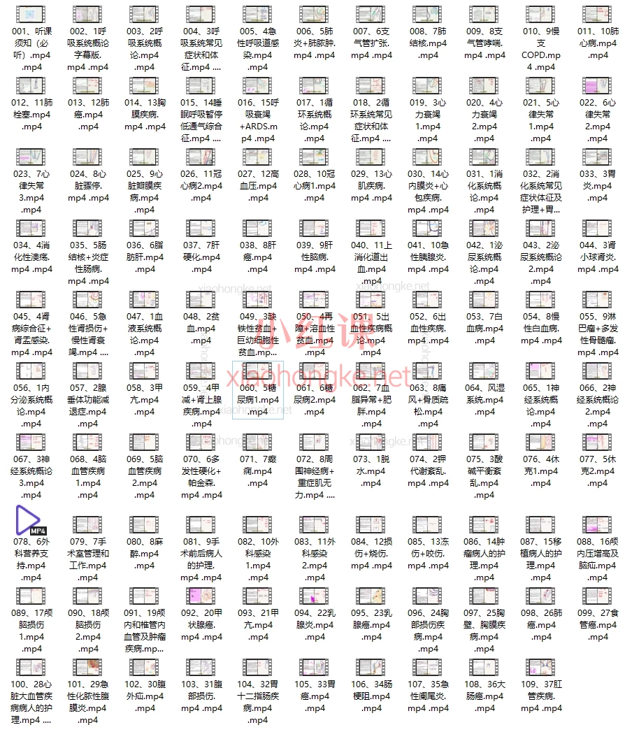 Bilibili-up主/小红书/De德：26版全套（内外基导），医学内外科护理全攻略