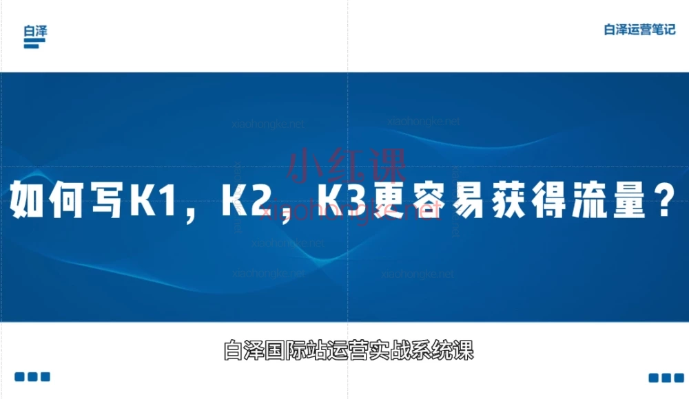 白泽国际站直通车实战系统:低成本询盘增长课