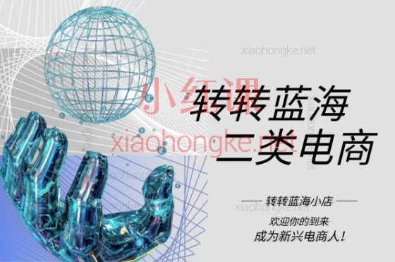 2025转转蓝海电商,《二类电商实战课:从0到1打造可持续出单账号》✨