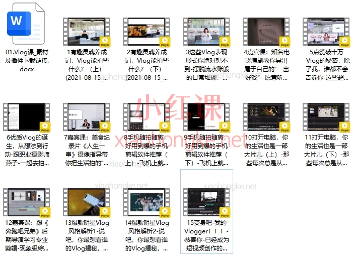 IYZ爱燕子摄影课堂Vlog视频课程，手把手教你拍出高级感日常！