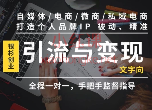 银杉创业-百万超级IP创业训练营,打造个人IP被动精准引流与营销变现【文字向个人IP】