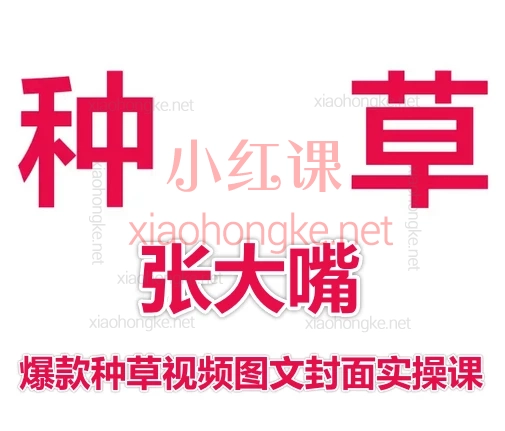 张大嘴爆款种草视频图文封面实操课