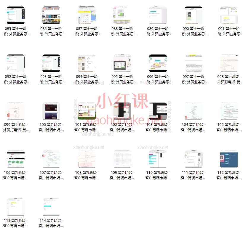 VIVI外贸创业记:小六外贸实战课-私教,从0到1开启你的全球生意之旅!