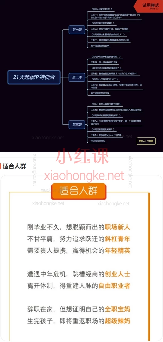 引爆超级个人IP+21天超级IP特训营