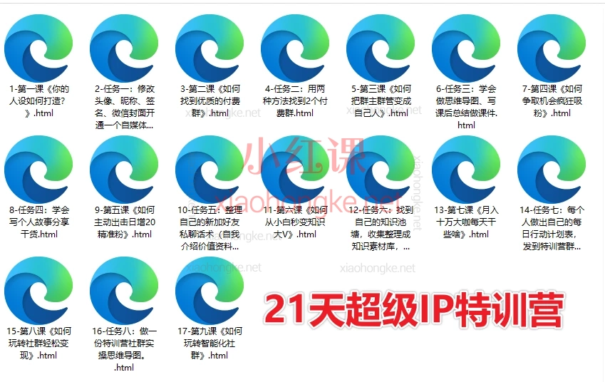 引爆超级个人IP+21天超级IP特训营