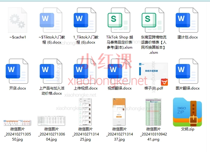 孤狼东南亚Tiktok小店电商线下课，跨境风口+变现全攻略（视频+音频+课件）