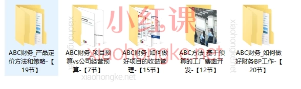 ABC成本分析:财务BP工作、基于预算工厂税率开发、产品定价方法策略、项目收益管理、项目预算VS公司预算