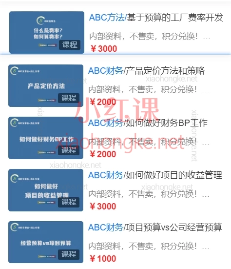 ABC成本分析:财务BP工作、基于预算工厂税率开发、产品定价方法策略、项目收益管理、项目预算VS公司预算