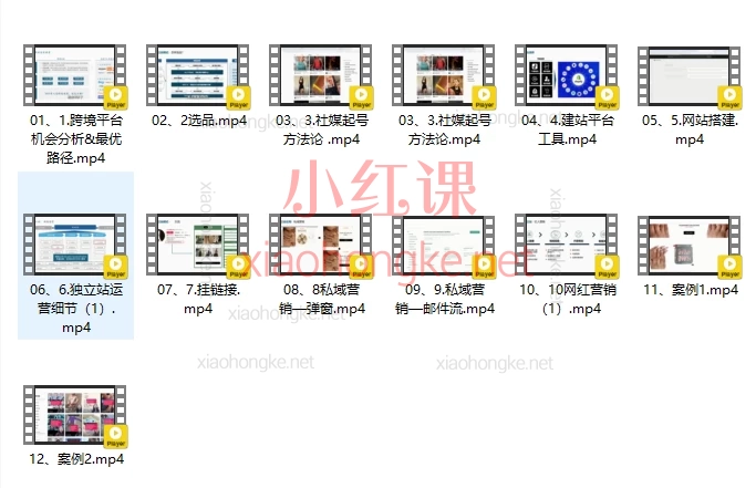 2025出海冒险家:社媒+独立站出海新机遇12节手把手教你从0到1掘金全球市场!