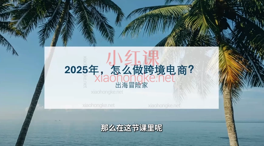 2025出海冒险家:社媒+独立站出海新机遇12节手把手教你从0到1掘金全球市场!