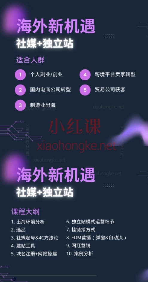 2025出海冒险家：社媒+独立站线上视频课30节，从0到1掌握跨境电商流量密码！